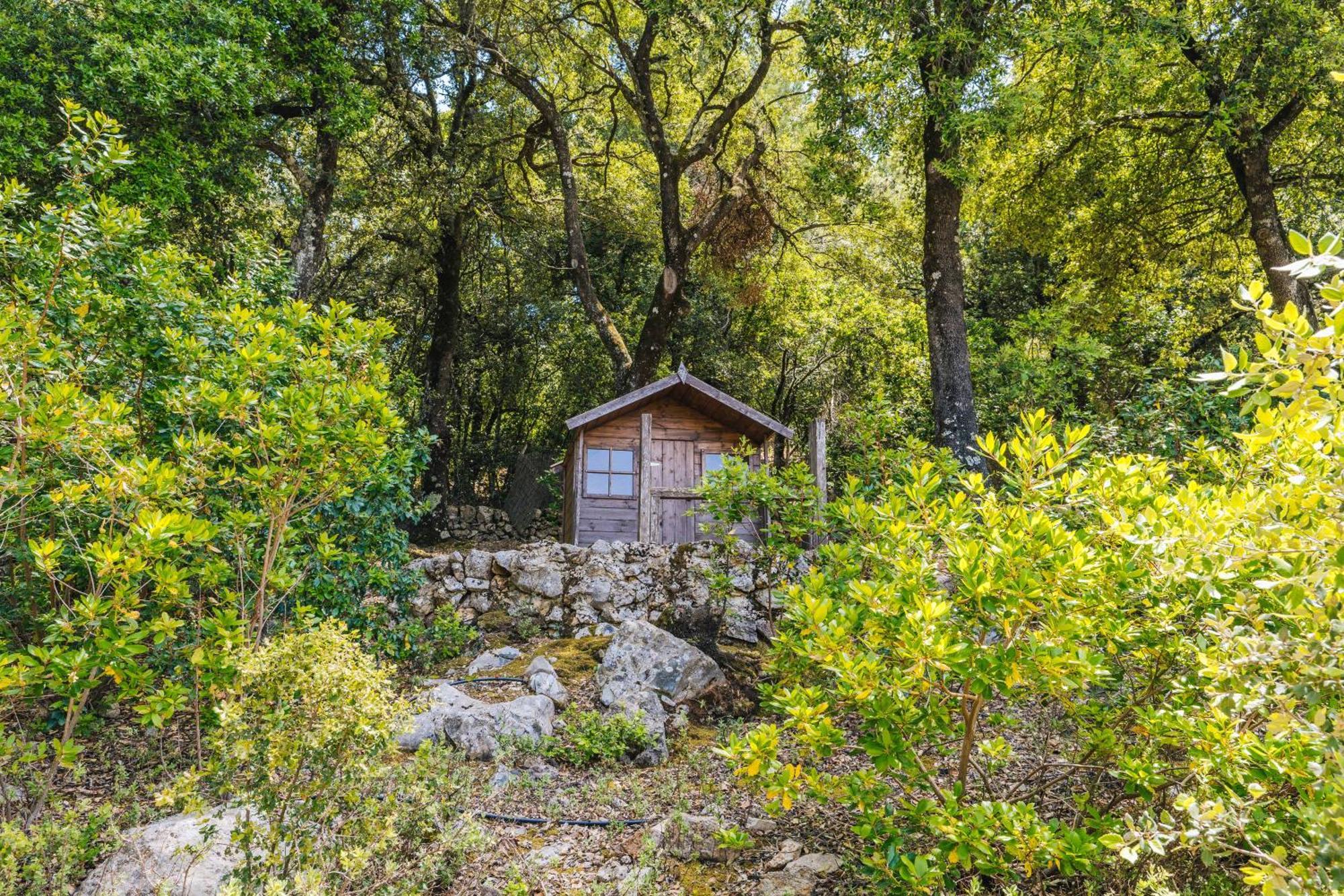 Ca'S Pastor - Chalet De Montana Escorca Exterior photo